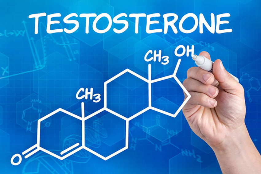 Testosterone suy giảm đáng kể khi nam giới bước vào độ tuổi trung niên