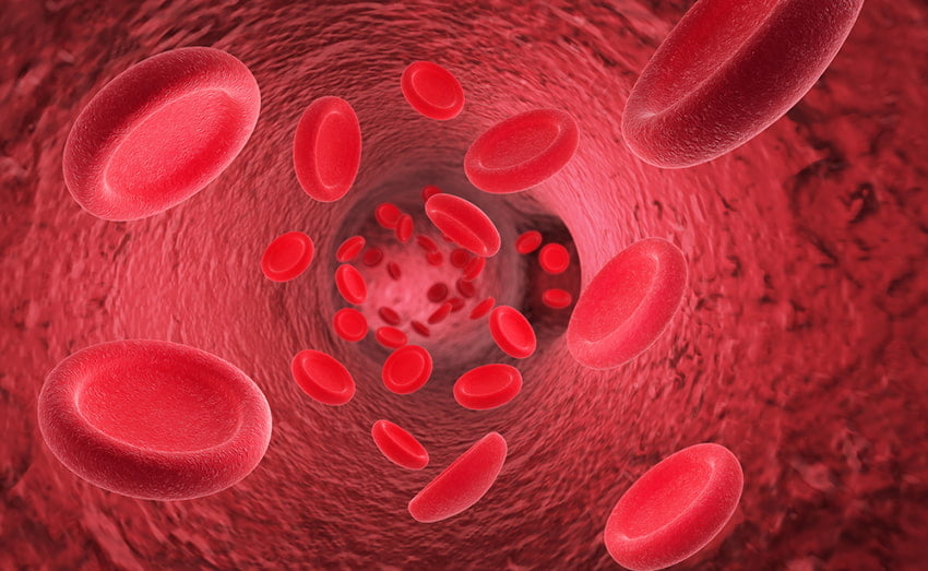 Bổ máu, thúc đẩy tái tạo tế bào