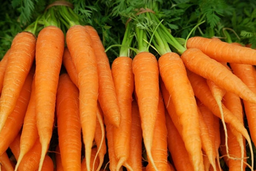 Cà rốt là nguồn cung cấp beta-carotene tuyệt vời cho cơ thể