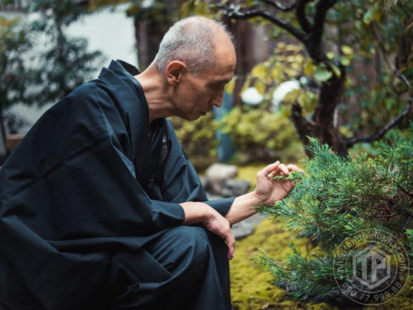 Thiền định là một cách giúp người cao niên không còn sợ hãi cái chết