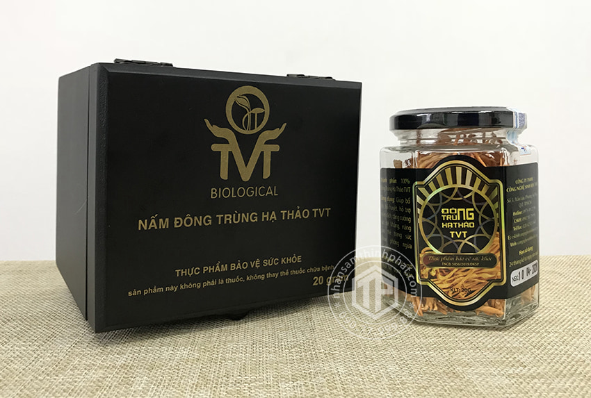 Đông trùng hạ thảo khô Việt Nam hộp 20g