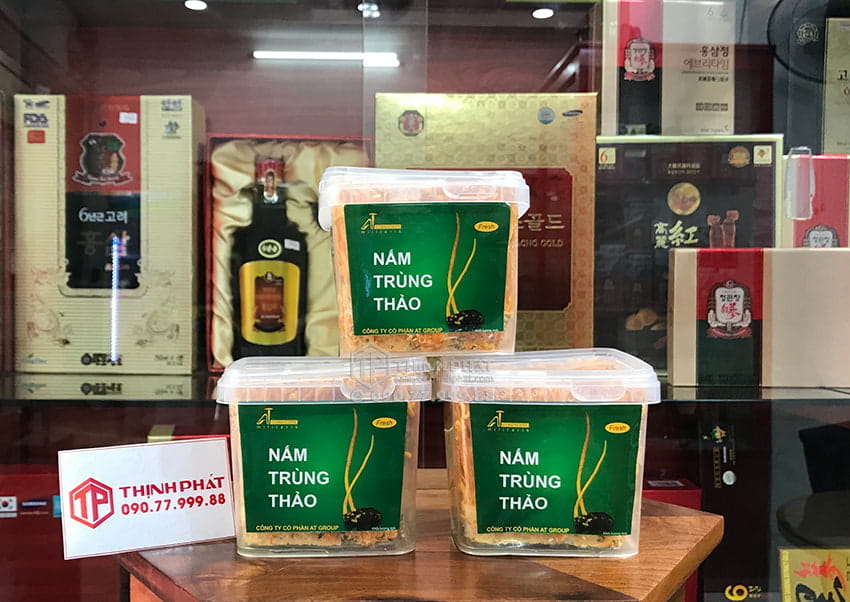 Đông trùng hạ thảo tươi Việt Nam nguyên chất