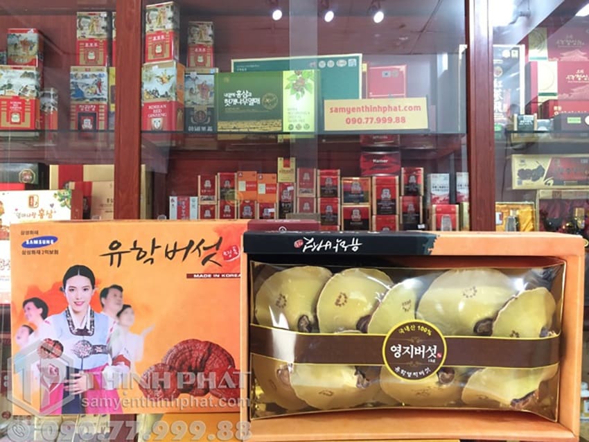 Nấm linh chi hàn Quốc hộp quà tặng thượng hạng 1 kg