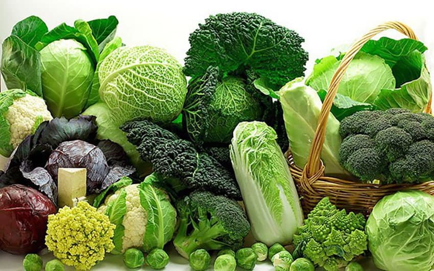 Thực phẩm màu xanh lá cung cấp nhiều chất xơ, rất tốt cho đường ruột