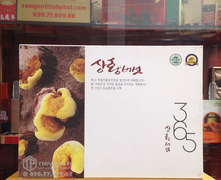 Nấm Thượng Hoàng Hàn Quốc 365 mẫu hộp quà tặng 1kg