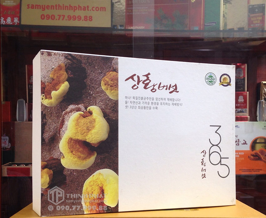 Nấm Thượng Hoàng Hàn Quốc 365 mẫu hộp quà tặng 1kg